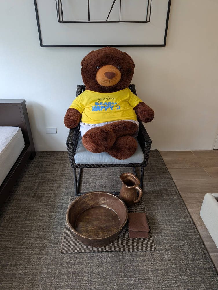 The bear in the room