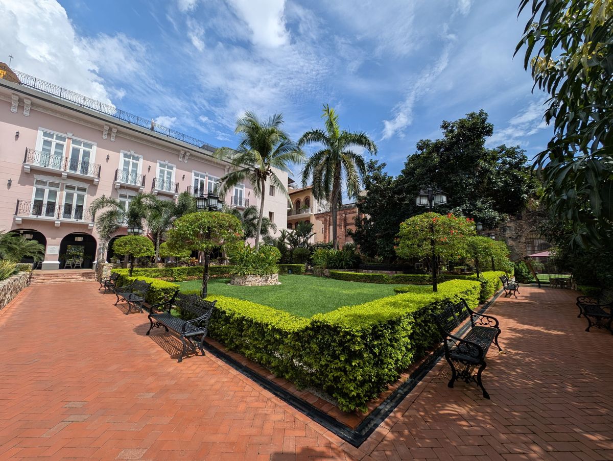 The garden