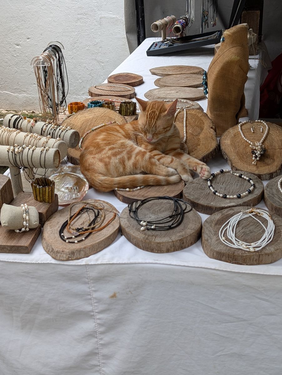 Asleep on the jewelry table