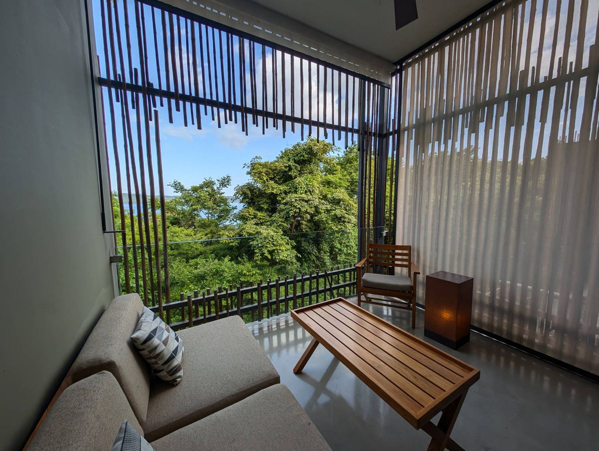 The room, open to the trees