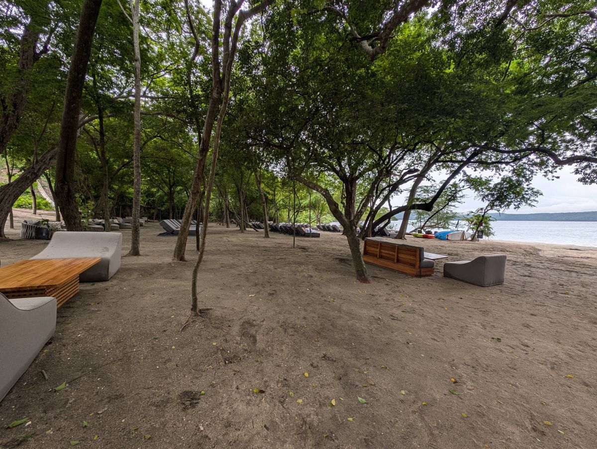 Lounge seating under the trees by the beach