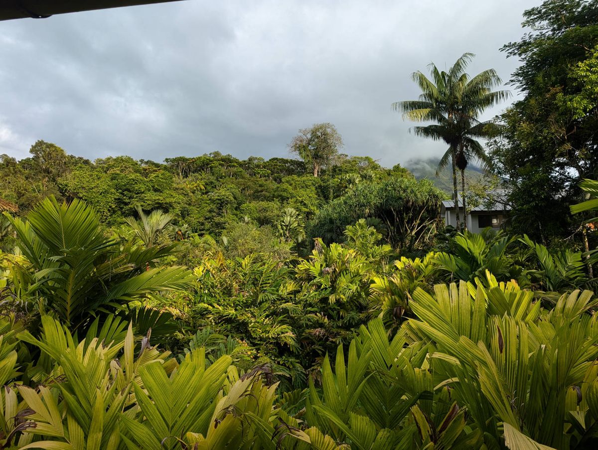 The gardens