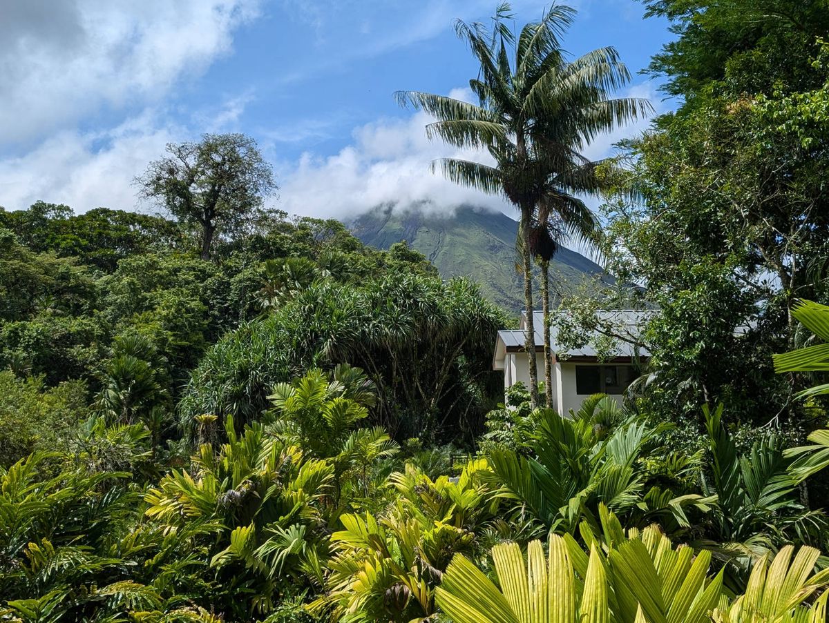 The volcano behind the gardens