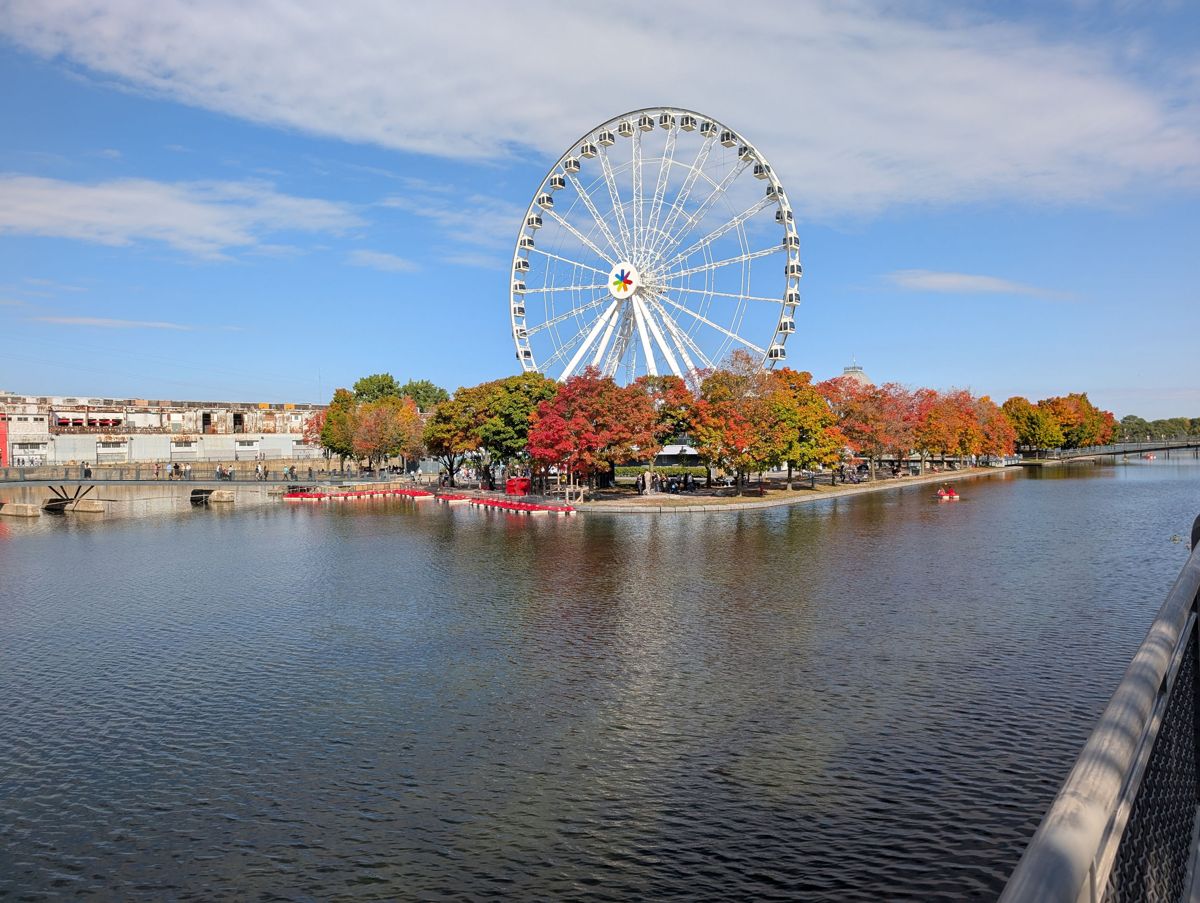 La Grande Roue over red maples in Montreal's Old Port