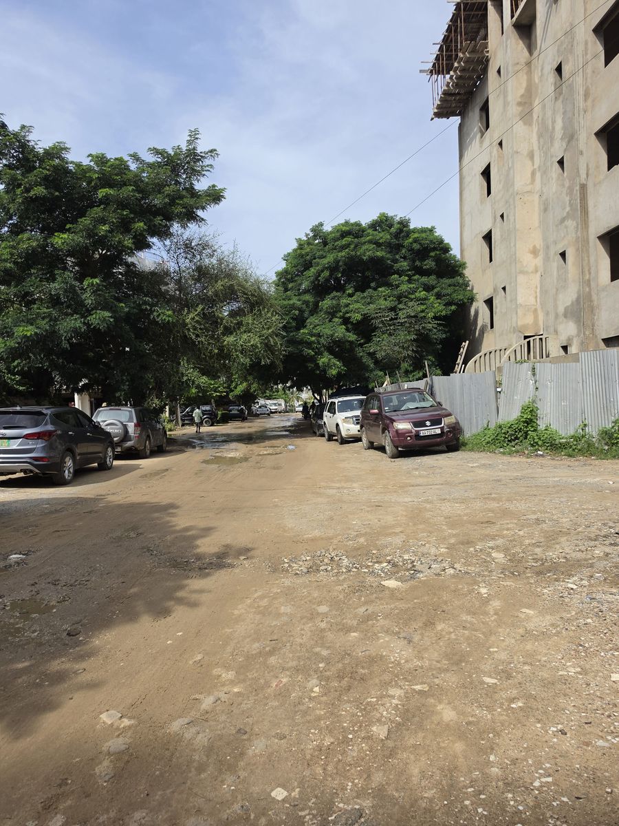 A dirt side street under the trees