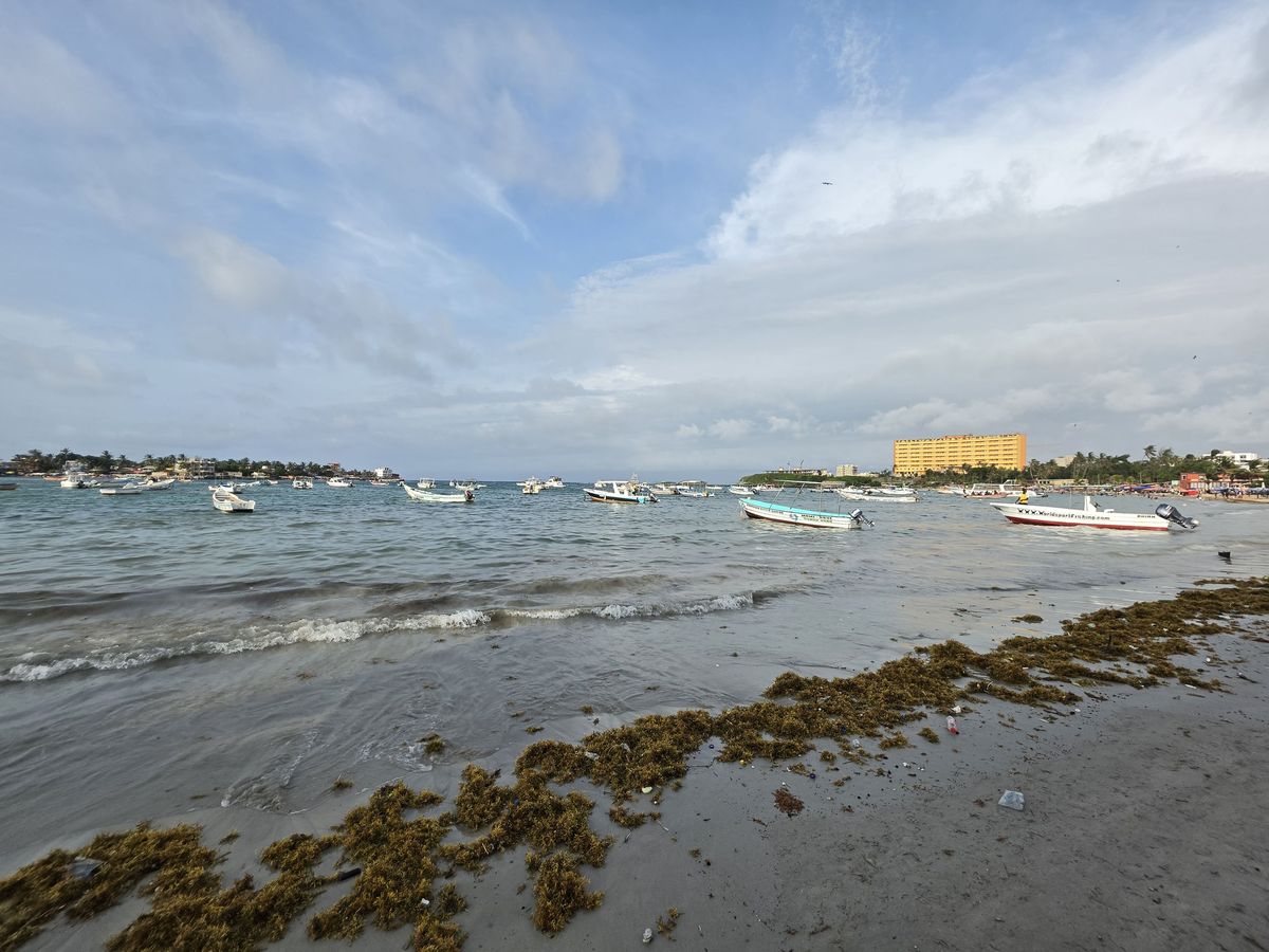 Boats at anchor in the bay
