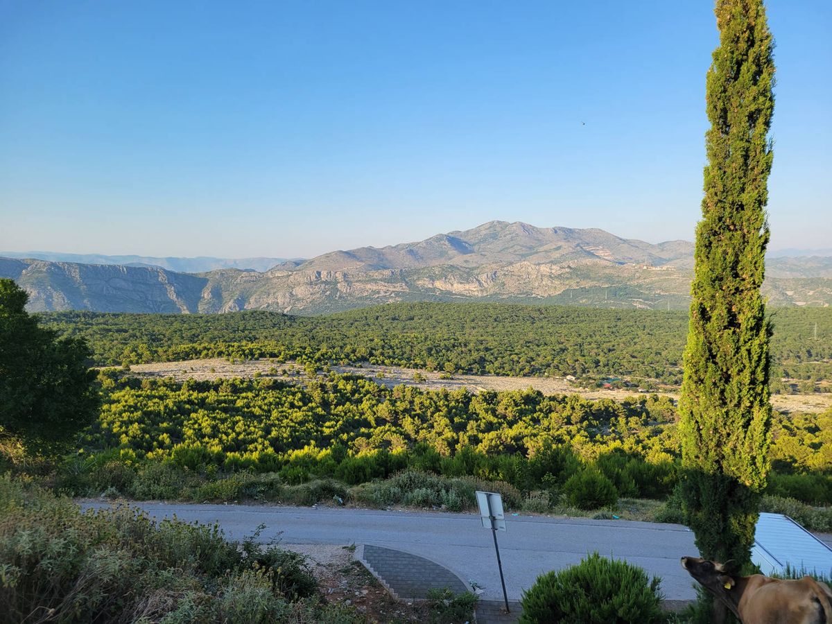The hills inland