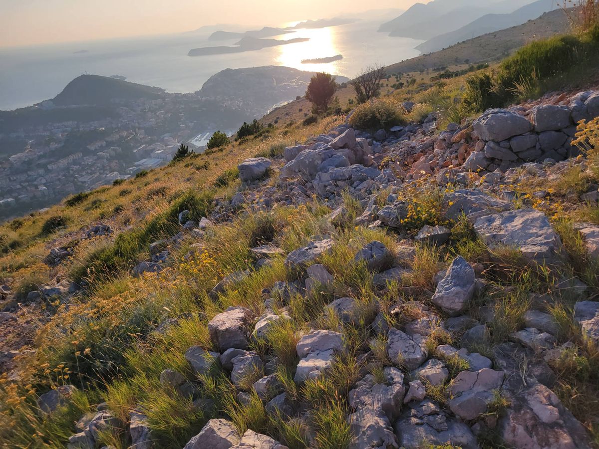 The coast from the rocky hillside