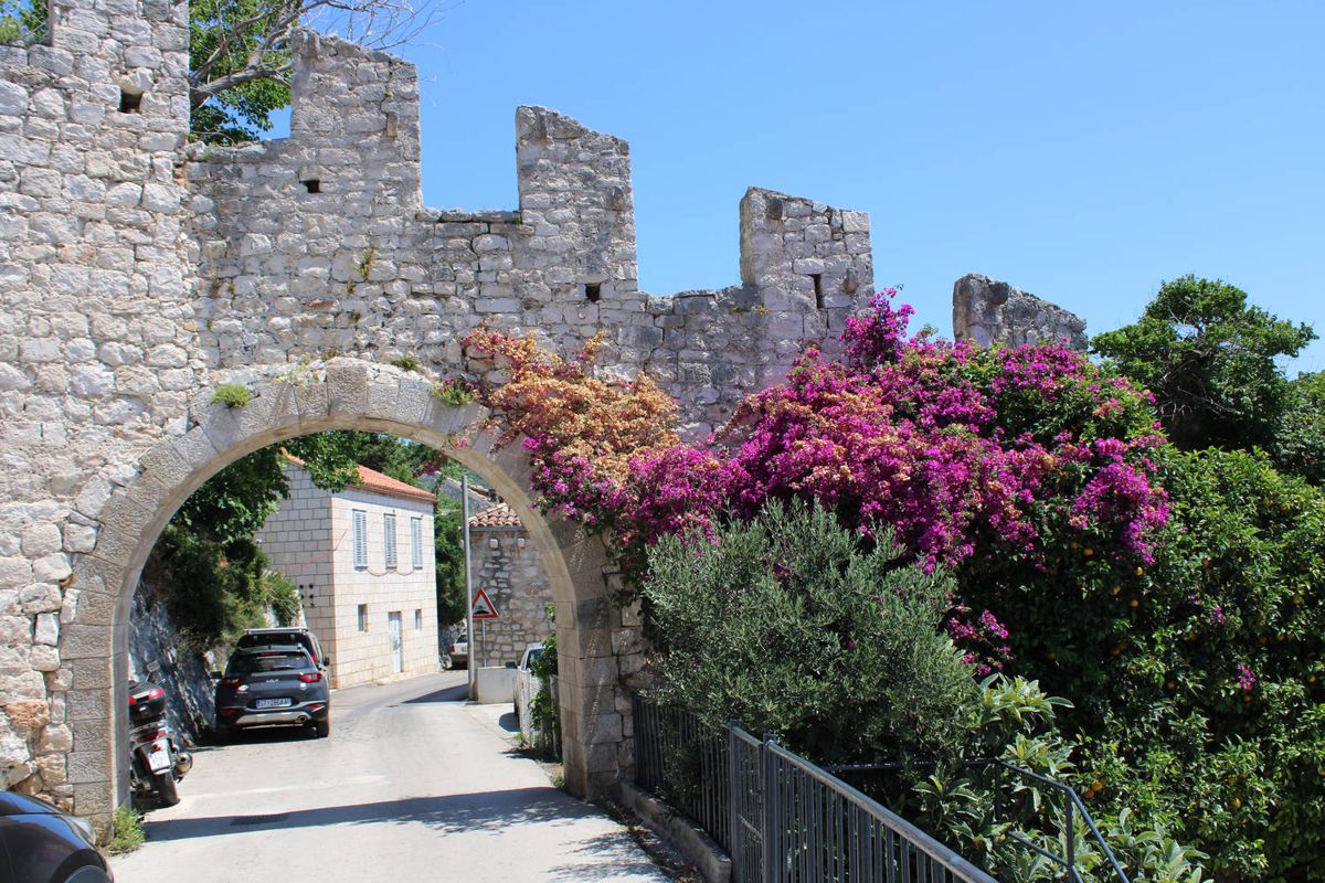 A gate in the old wall with bougainvillea