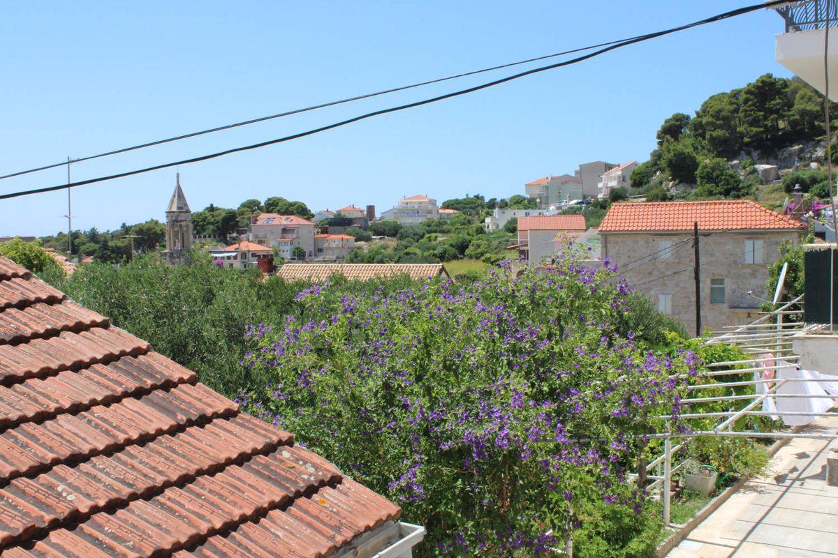 Rooftops and purple flowers