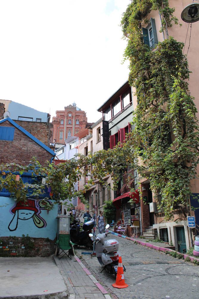 A lane under ivy