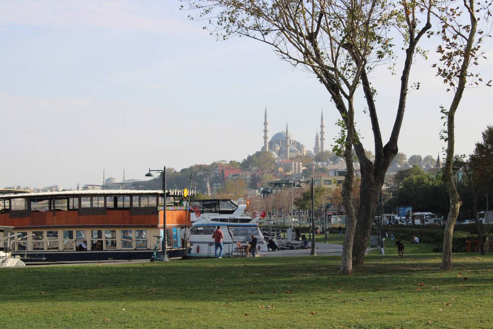 A park by the water with a mosque on the hill