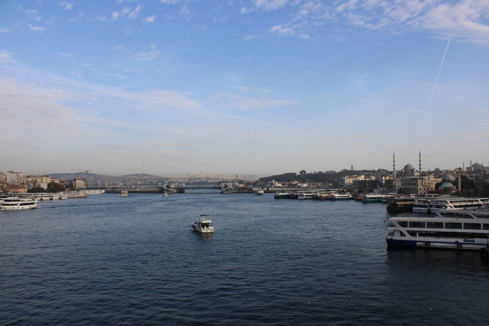 The water and the far shore in the morning