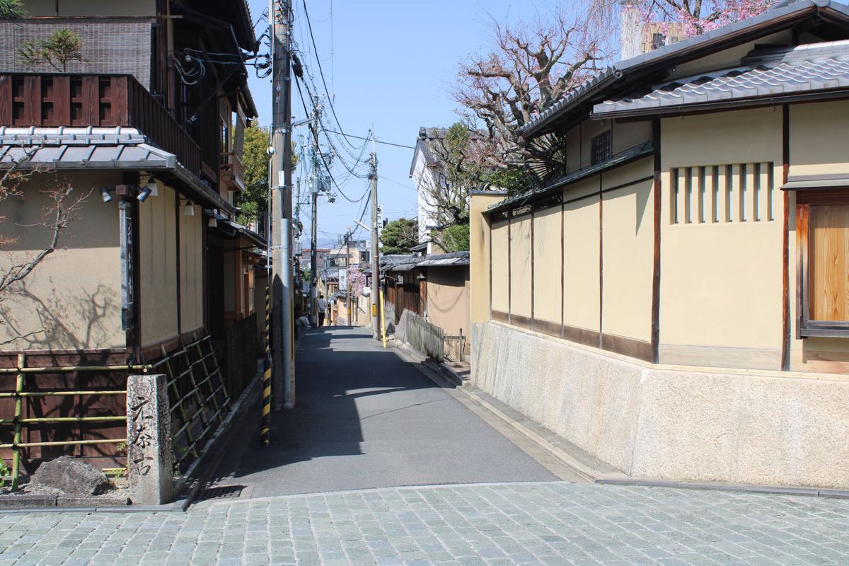 A quiet lane between walls