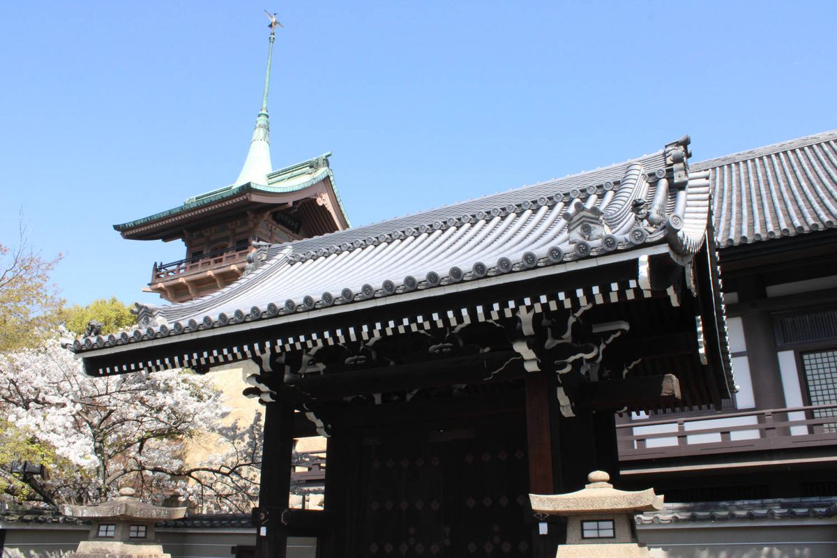 Temple roofs and a pagoda spire