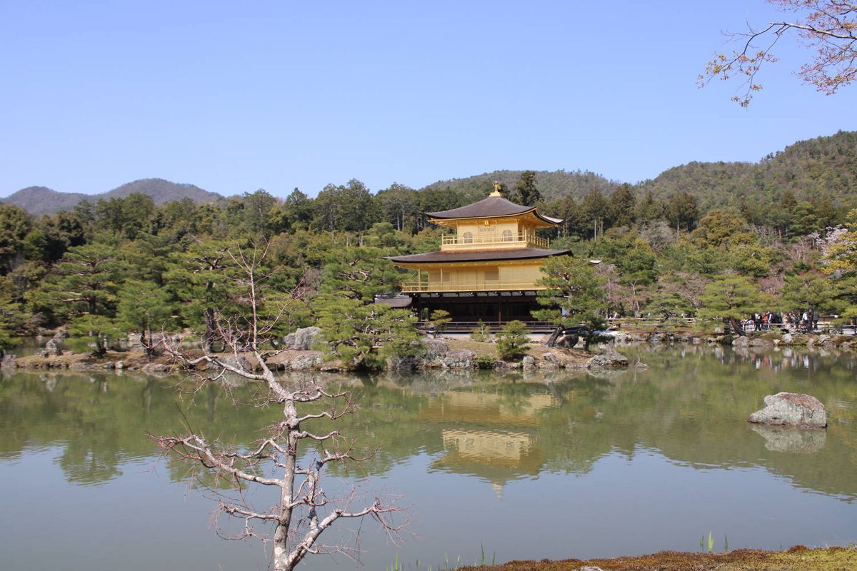The Golden Pavilion across the pond