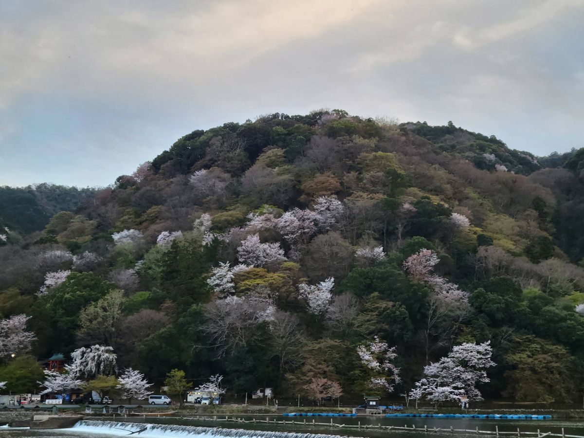The blossoming hills over the river at evening