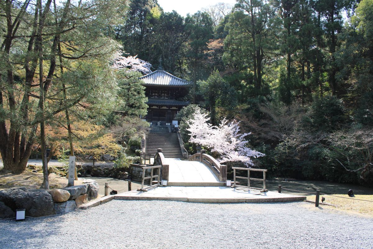 A temple garden with a bridge and blossoms