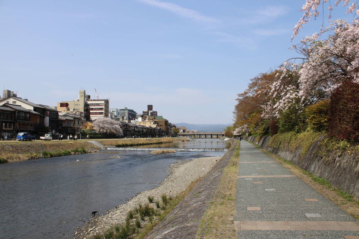 The riverbank path