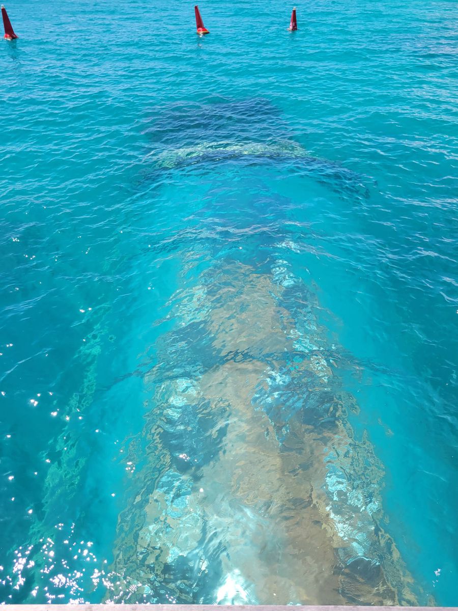 A path of coral under clear water