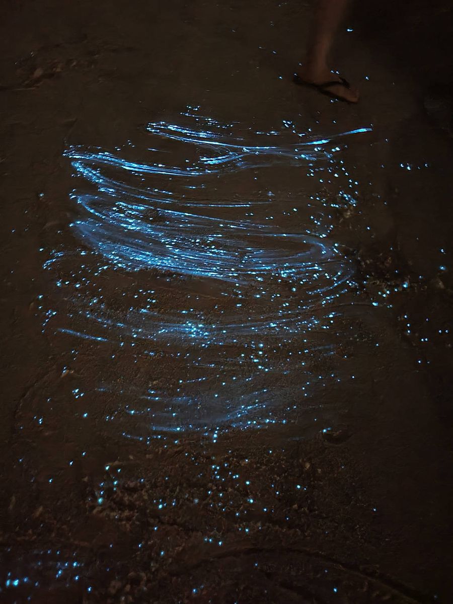 Blue glowing streaks in the dark surf