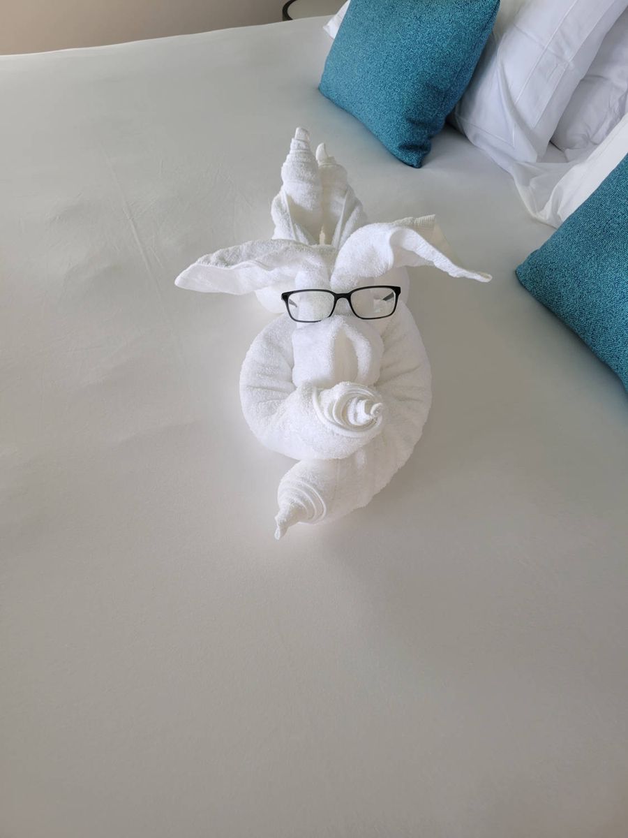 A towel animal wearing glasses