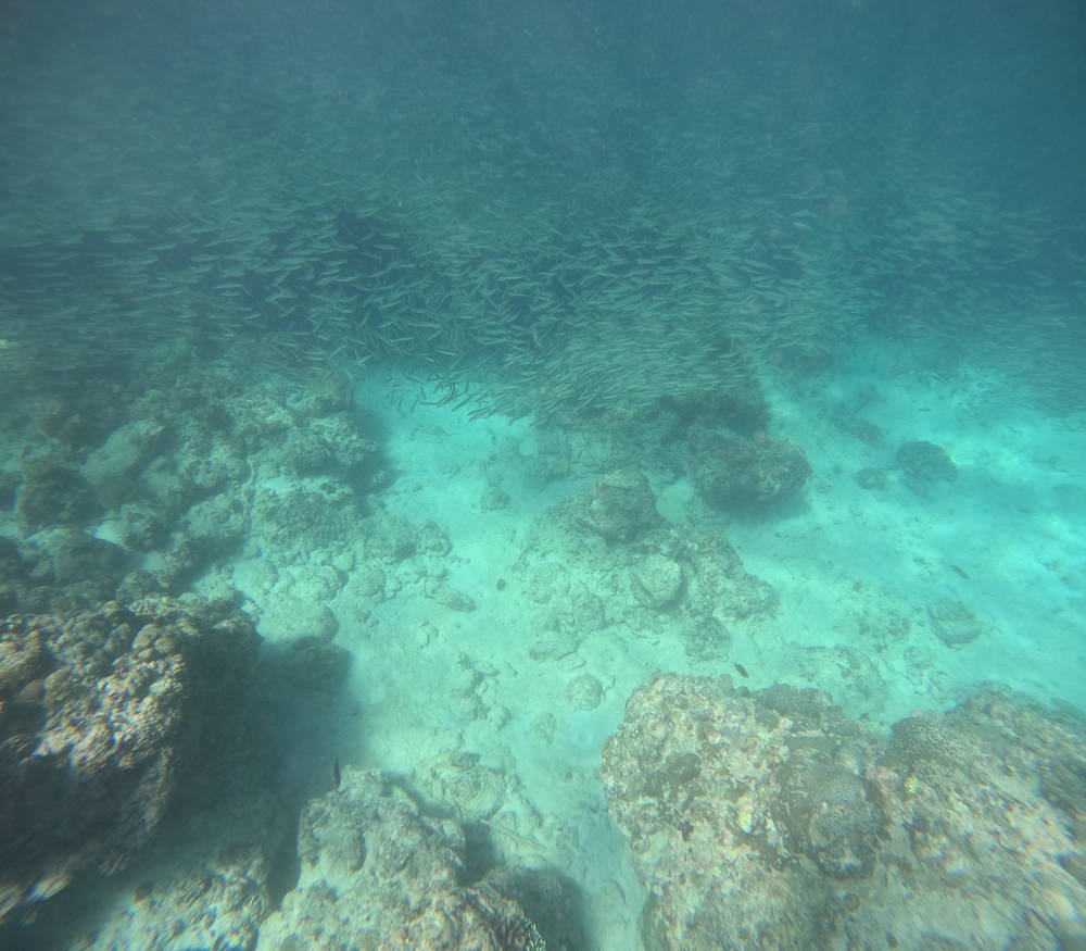 Moalboal