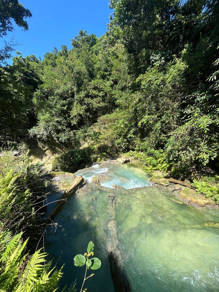 Moalboal