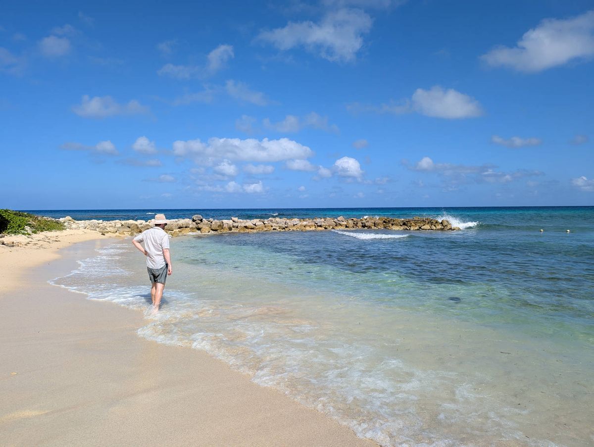 Wading at the edge of the beach
