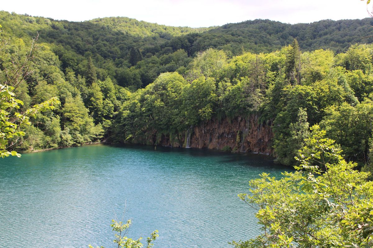 A lake below the forest