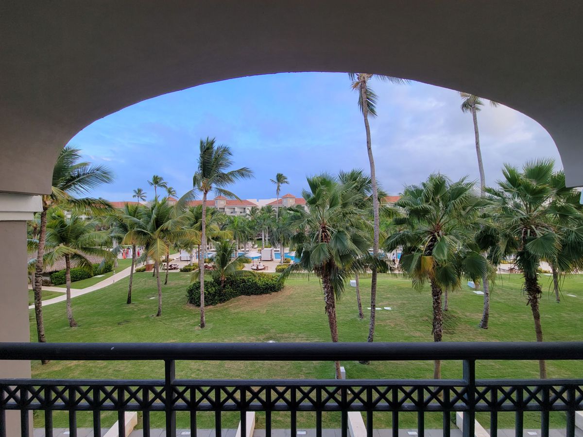 The pools and palms from the balcony
