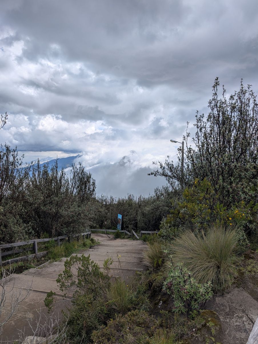 Wooden steps down into the clouds