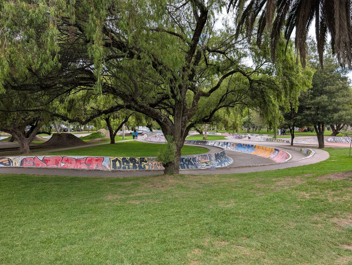 The snake run under the trees