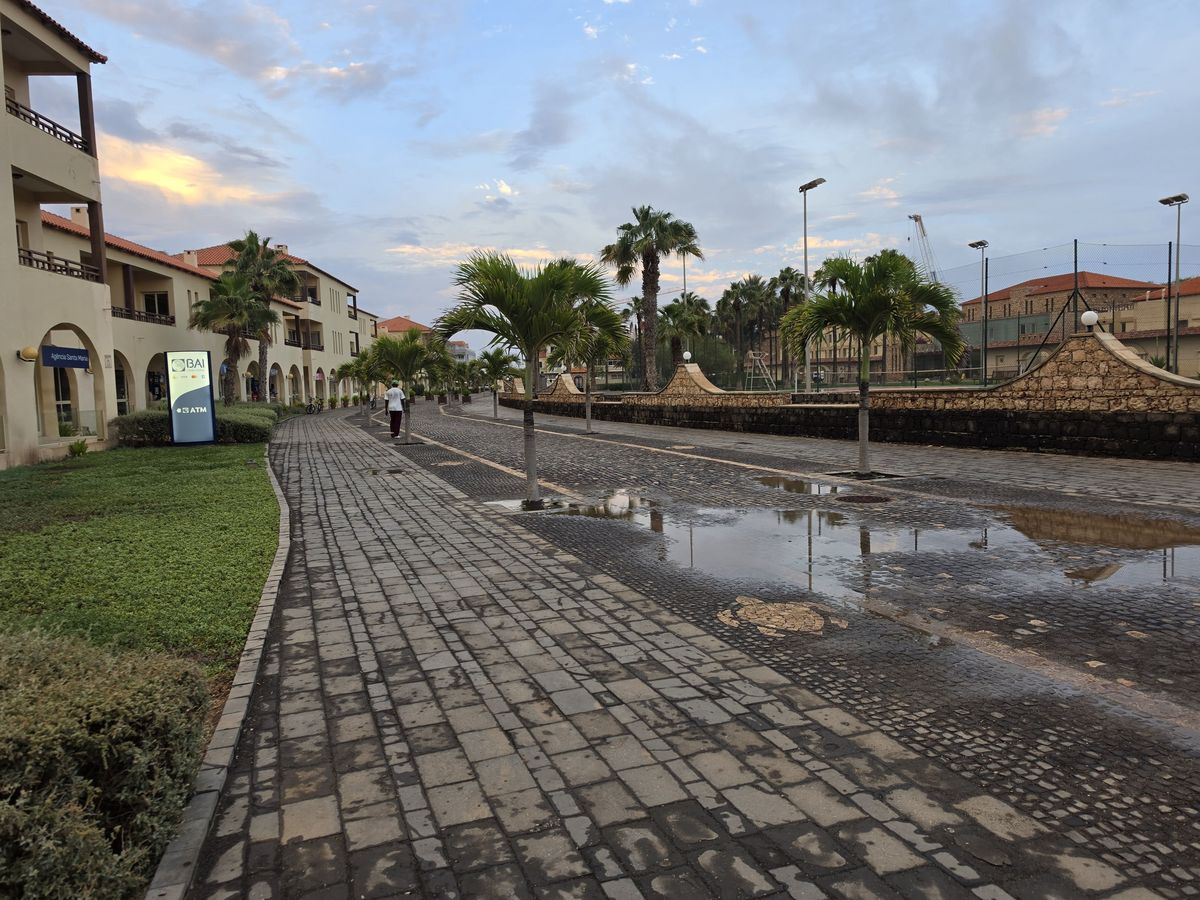 Puddles along the palm-lined promenade