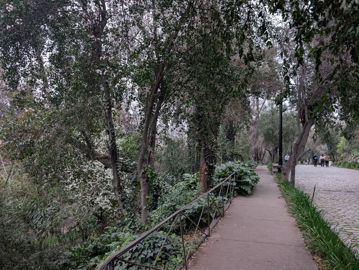 A shaded path near the base