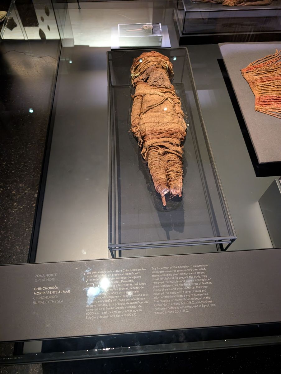 A Chinchorro mummy. They began mummifying their dead around 6000 BC, thousands of years before Egypt