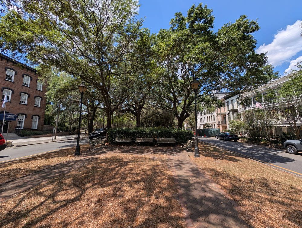 Savannah