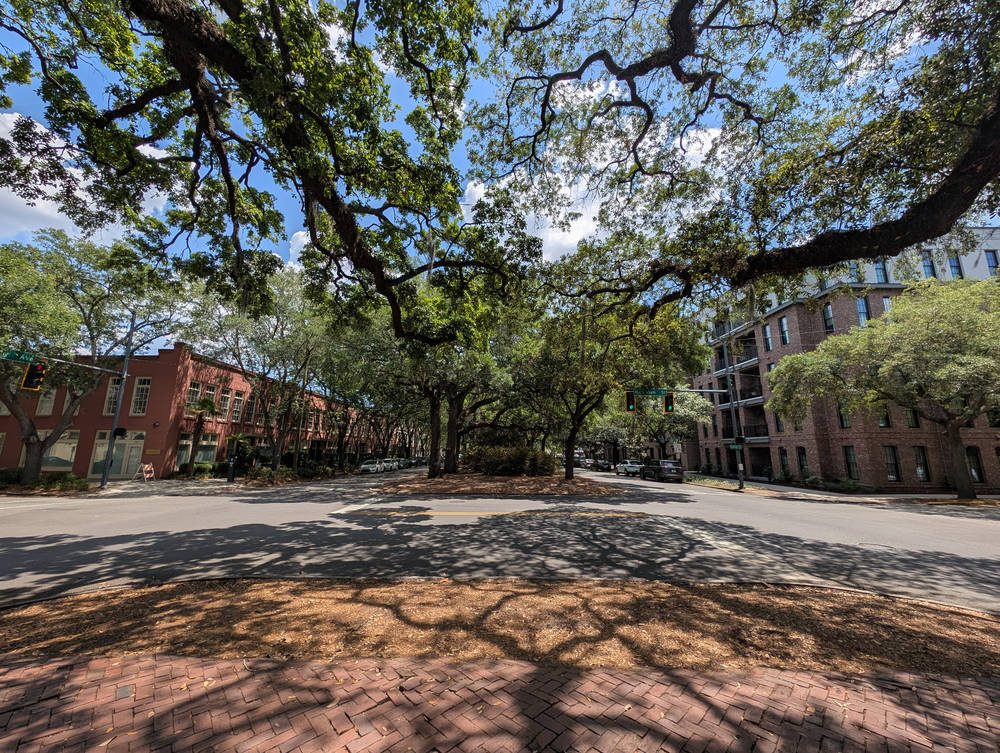 Savannah