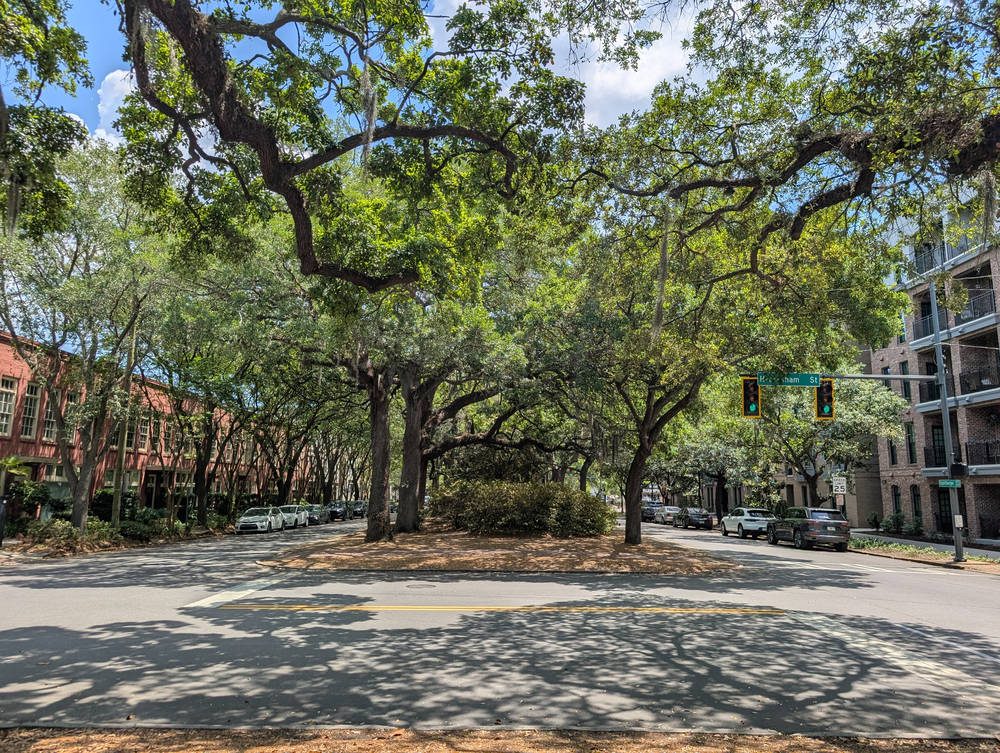 Savannah