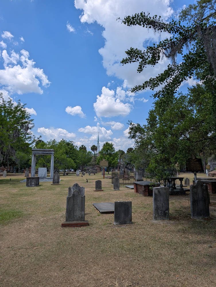 Savannah