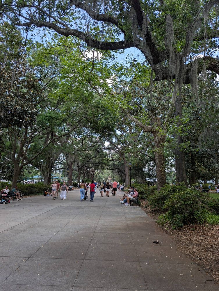 Savannah