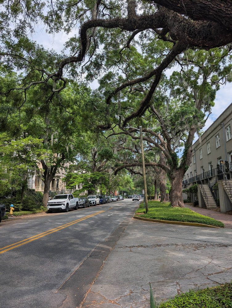 Savannah