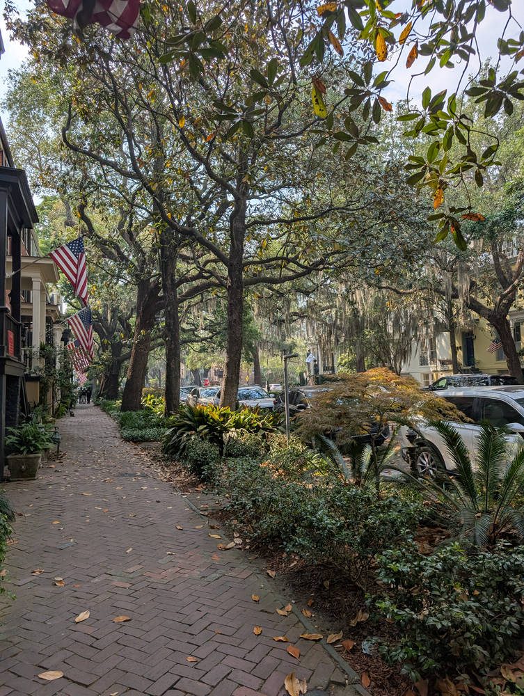 Savannah