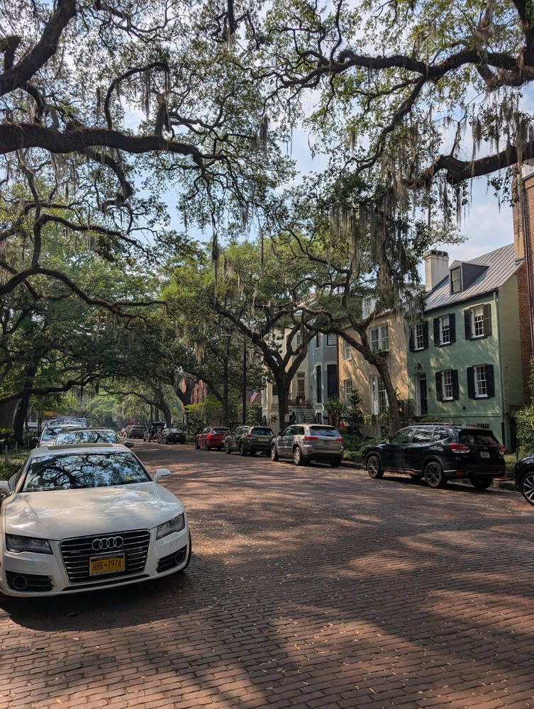Savannah