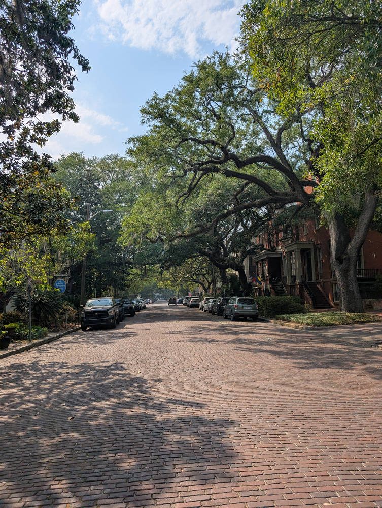 Savannah