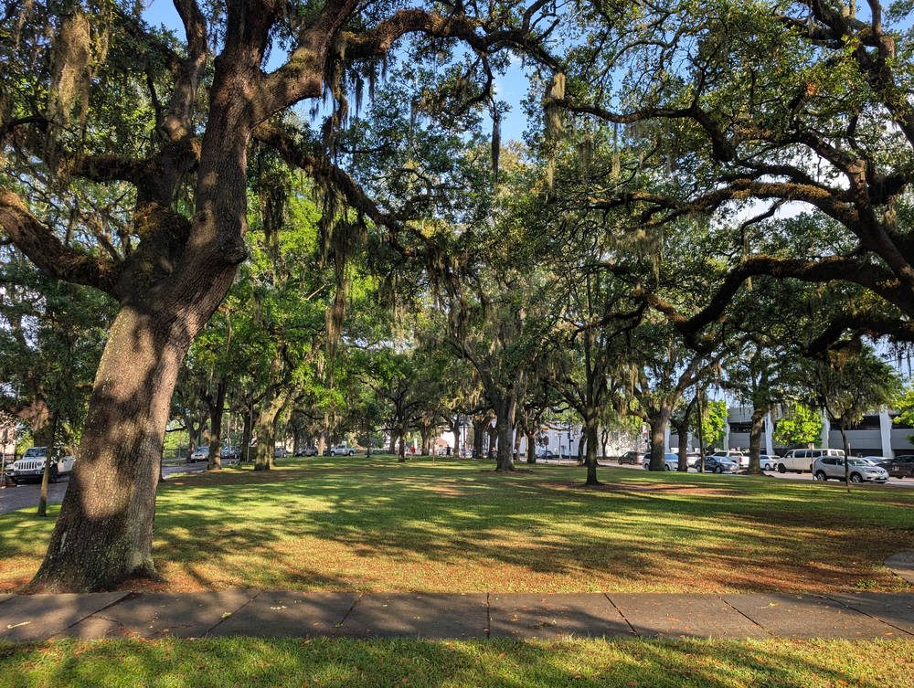 Savannah