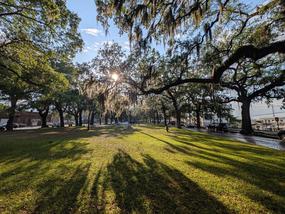 Savannah