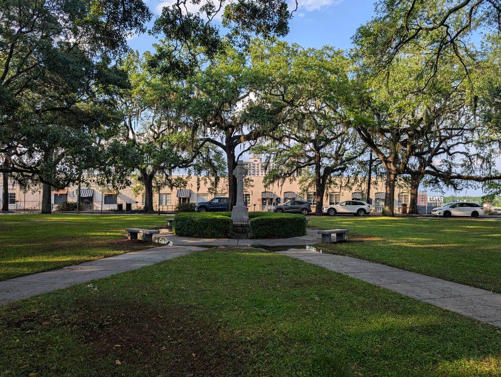 Savannah