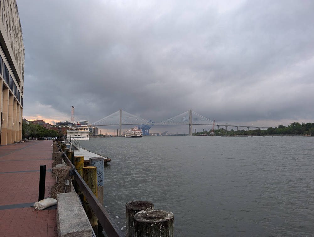 Savannah