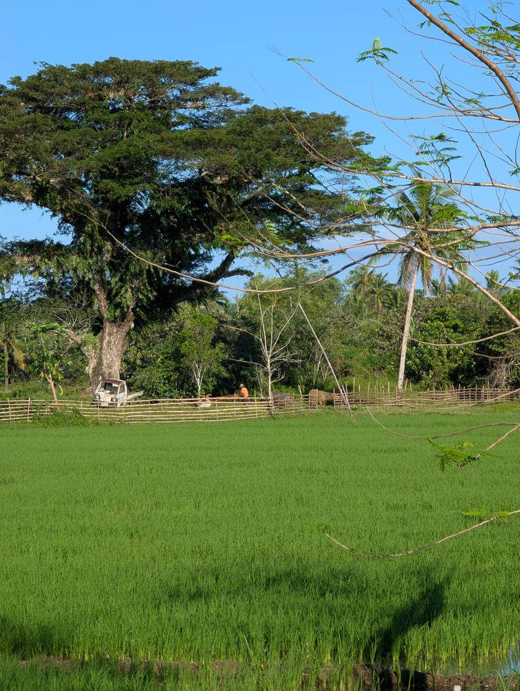 Siargao